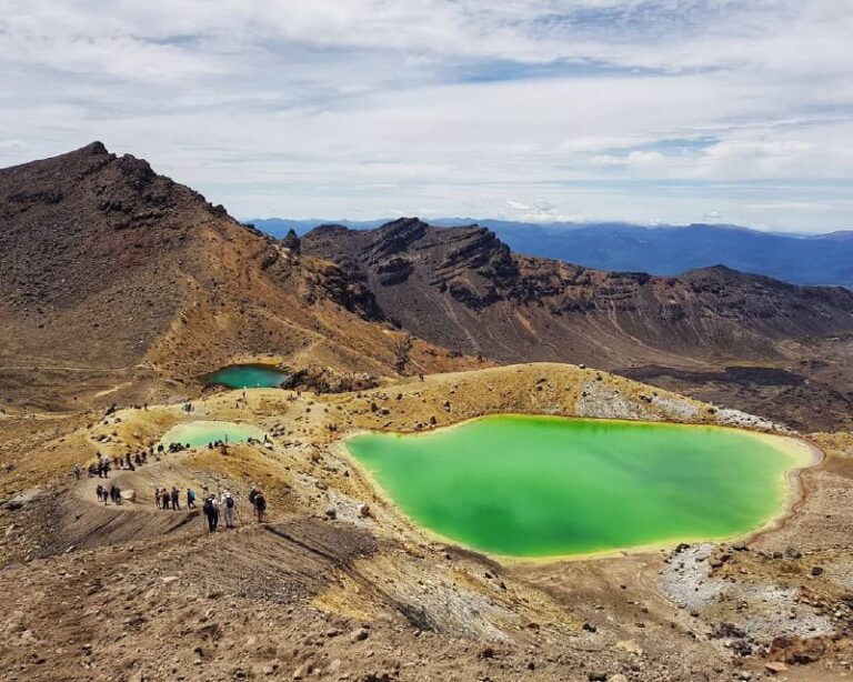 New Zealand Working Holiday Visa Singapore: A Guide