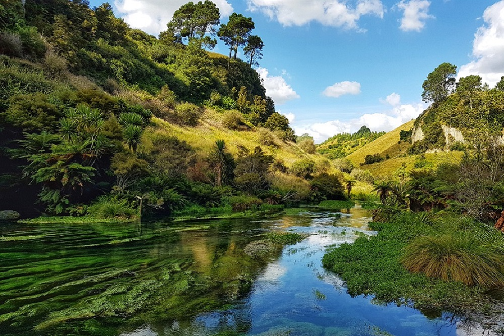 Impromptu Trip - Stray With Sarah